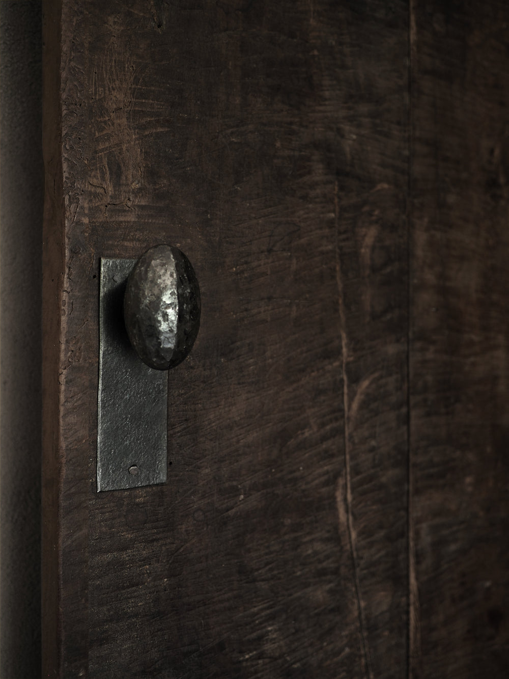 Door plate 02 (medium) for handle