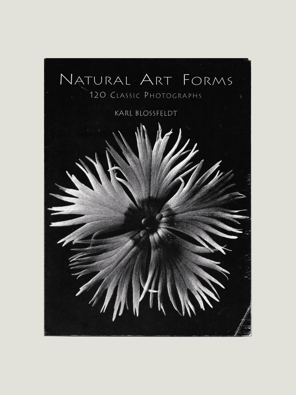 Karl Blossfeldt, Natural Art Forms