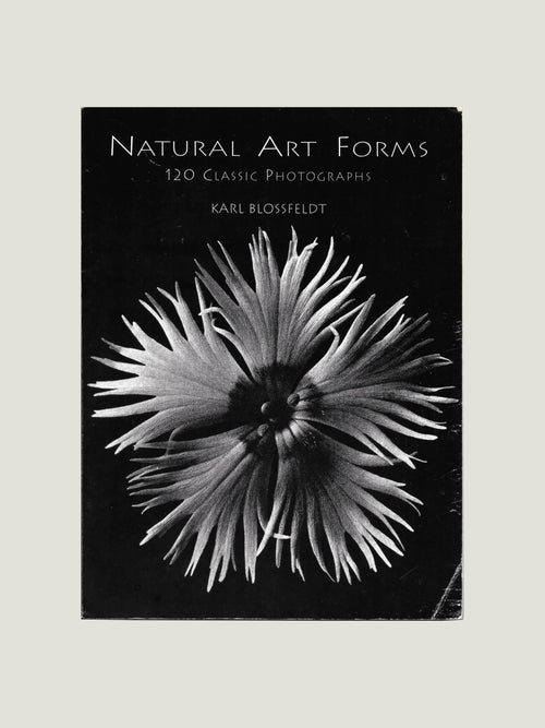 Karl Blossfeldt, Natural Art Forms