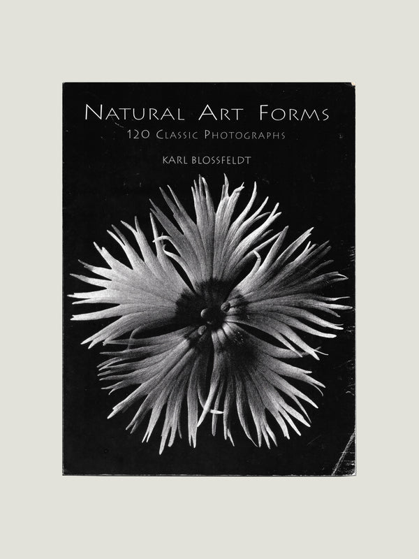 Karl Blossfeldt, Natural Art Forms